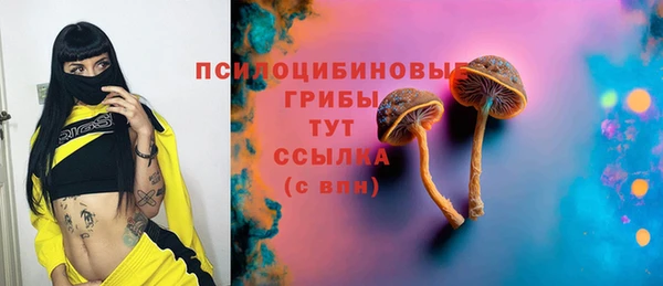 гашик Куйбышев