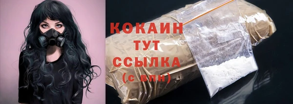 гашик Куйбышев