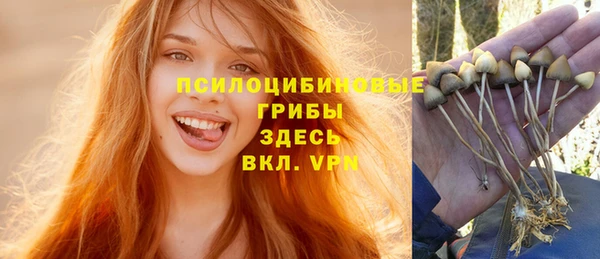 прущие грибы Орск
