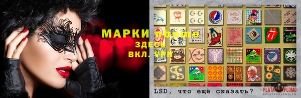 гашик Куйбышев