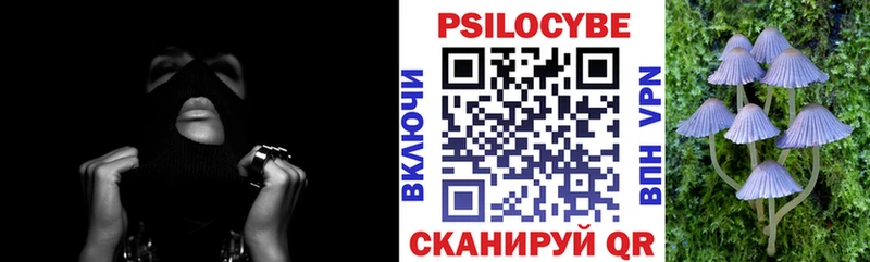 как найти   Тетюши  Псилоцибиновые грибы прущие грибы 